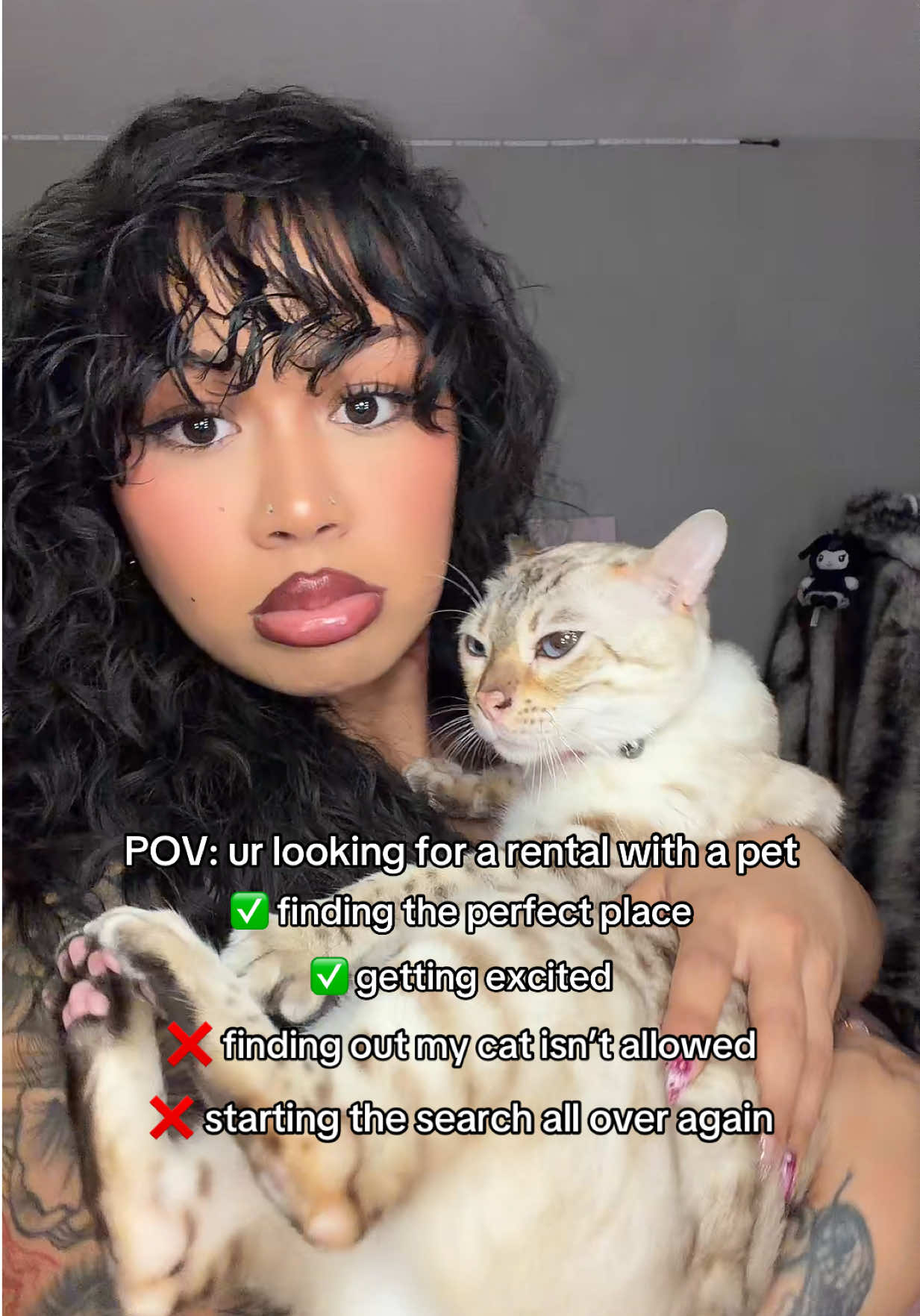 @Mirajane The Bengal🐾
