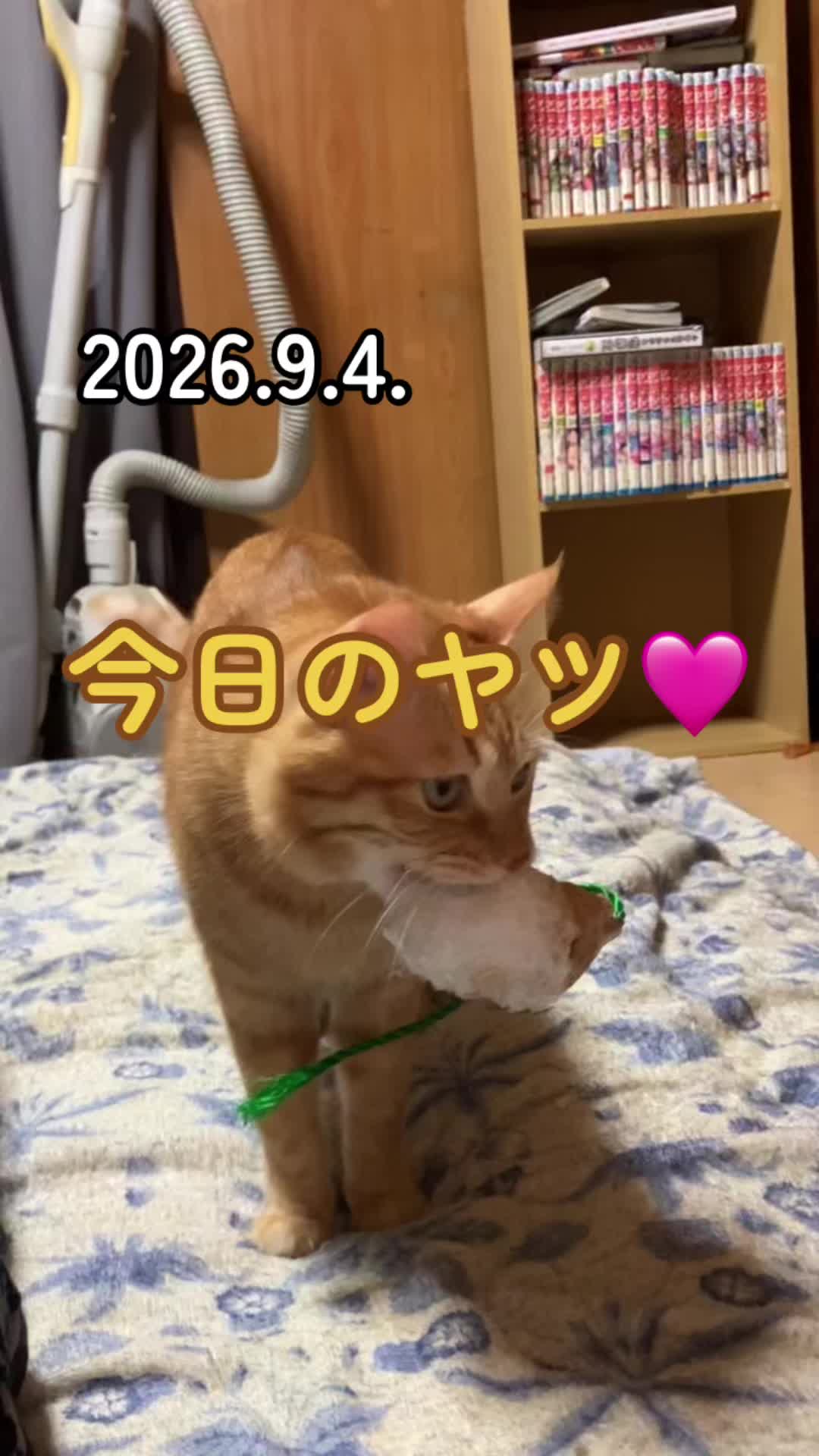@茶トラ商店