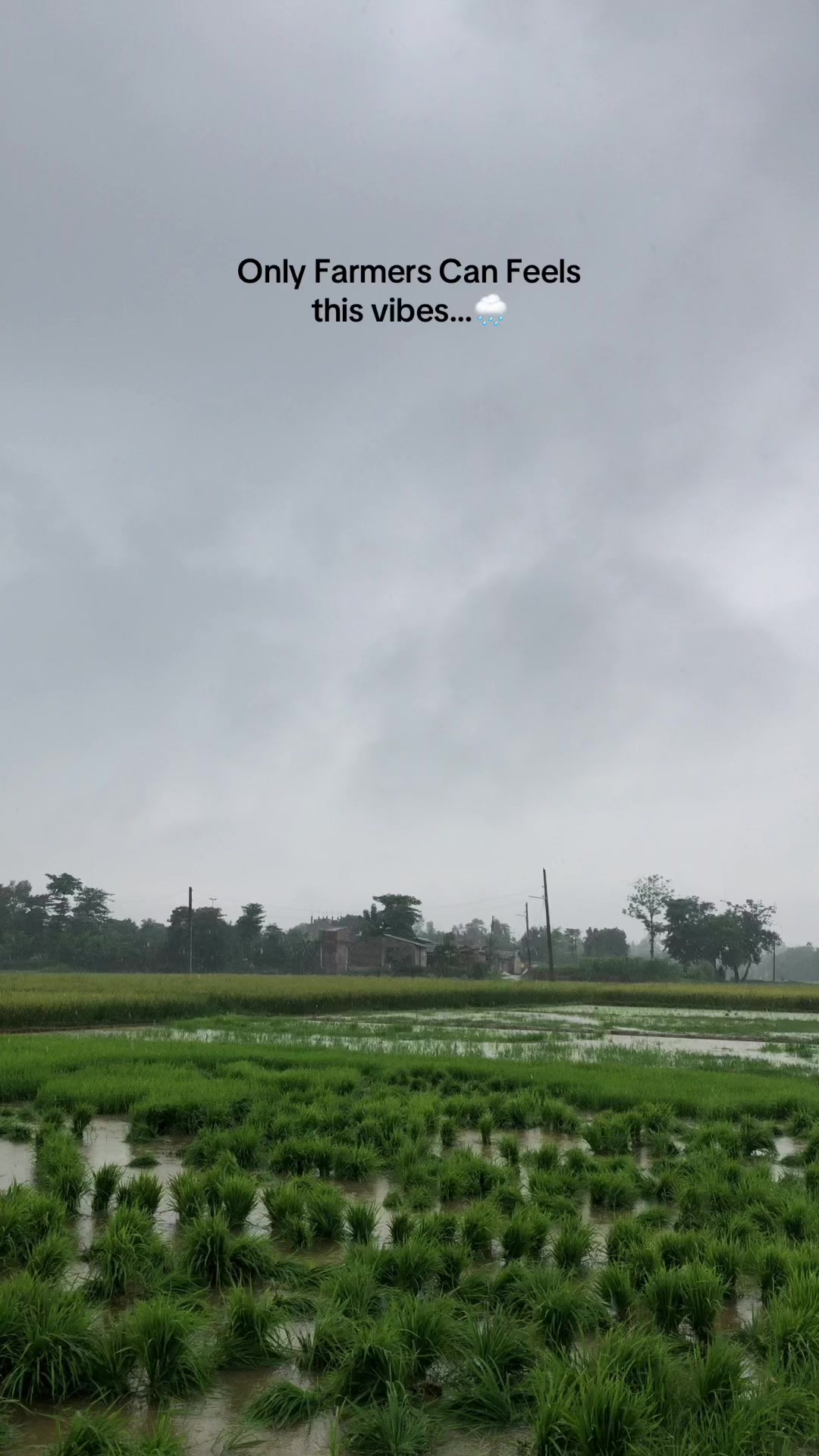 @SaddySaiyad
