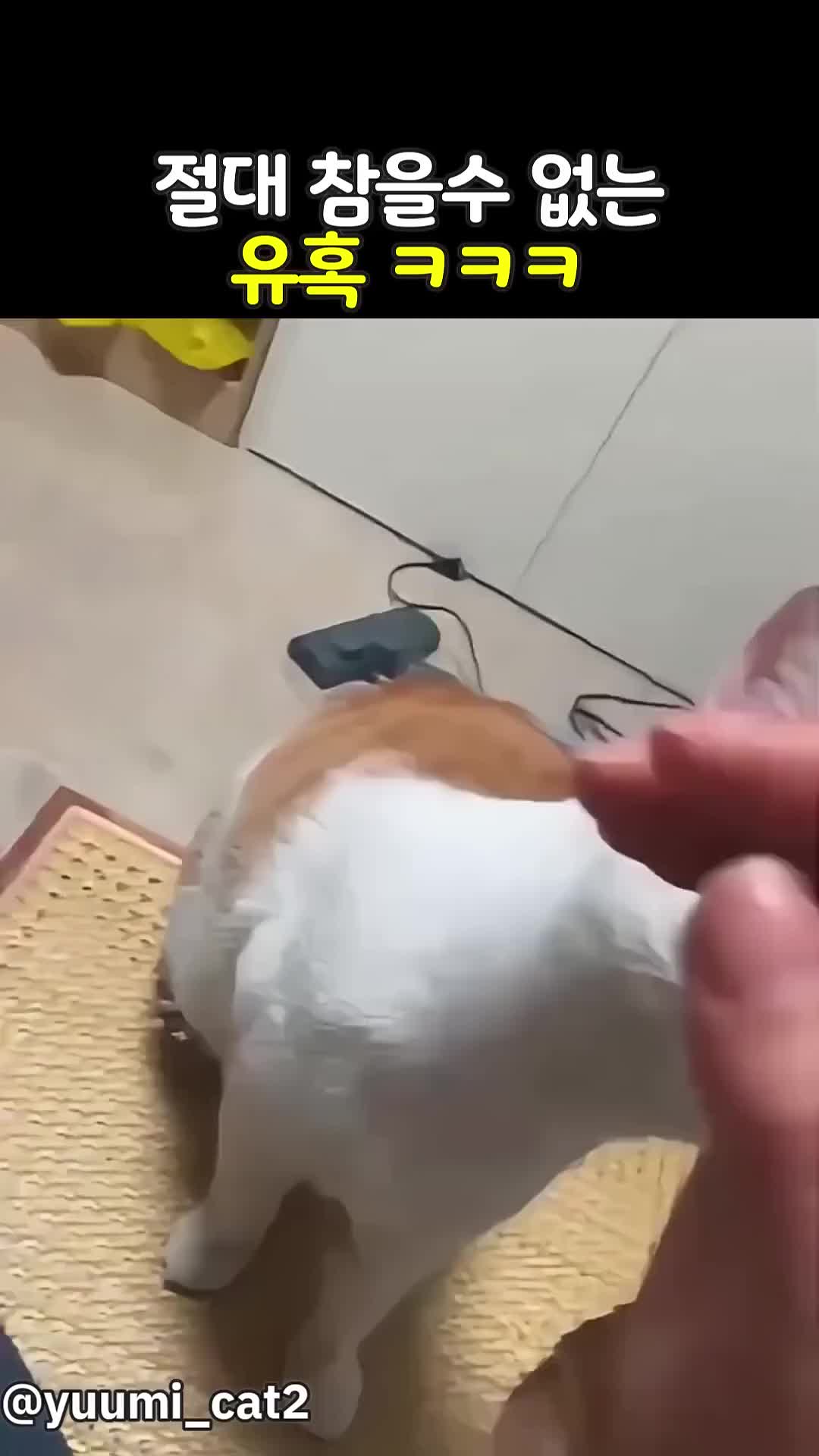 @pateckFunny