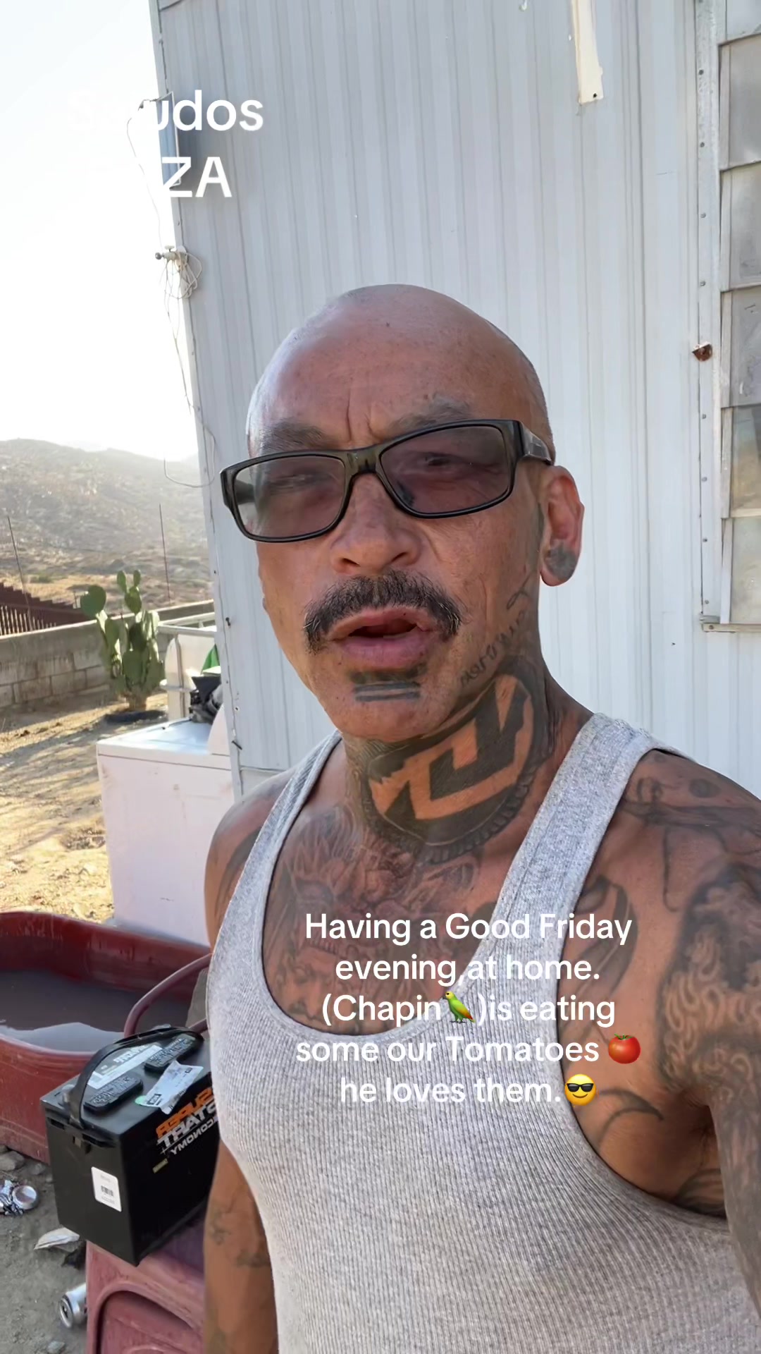 @chinoblue😎