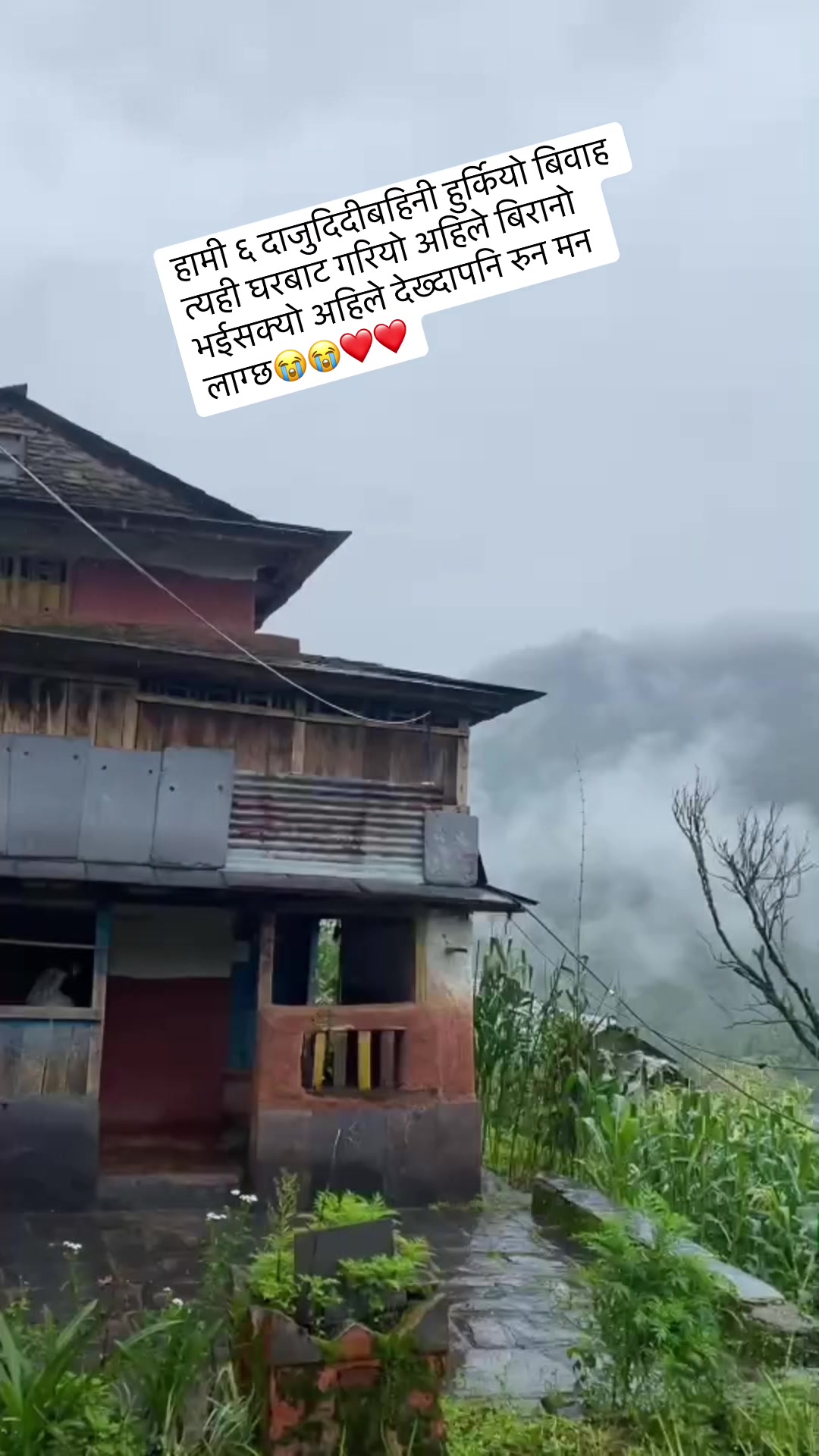 @Laxmi Kandel