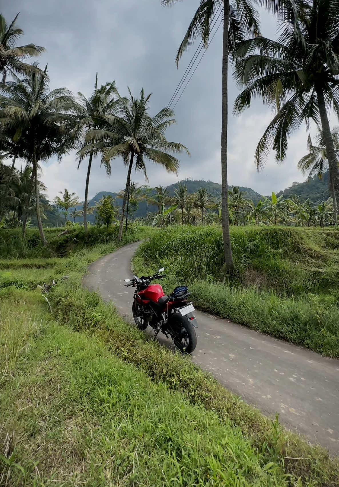 @fotograferjogja6
