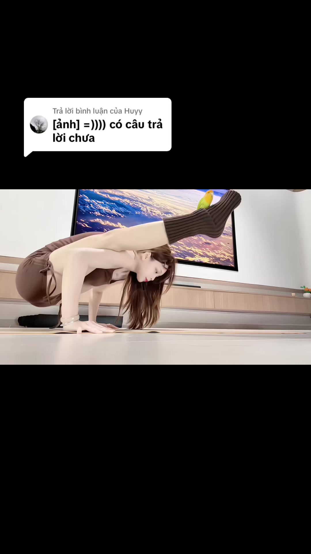 @๐ฝ๐๐๐๐๐๐ ๐ฎ+++
