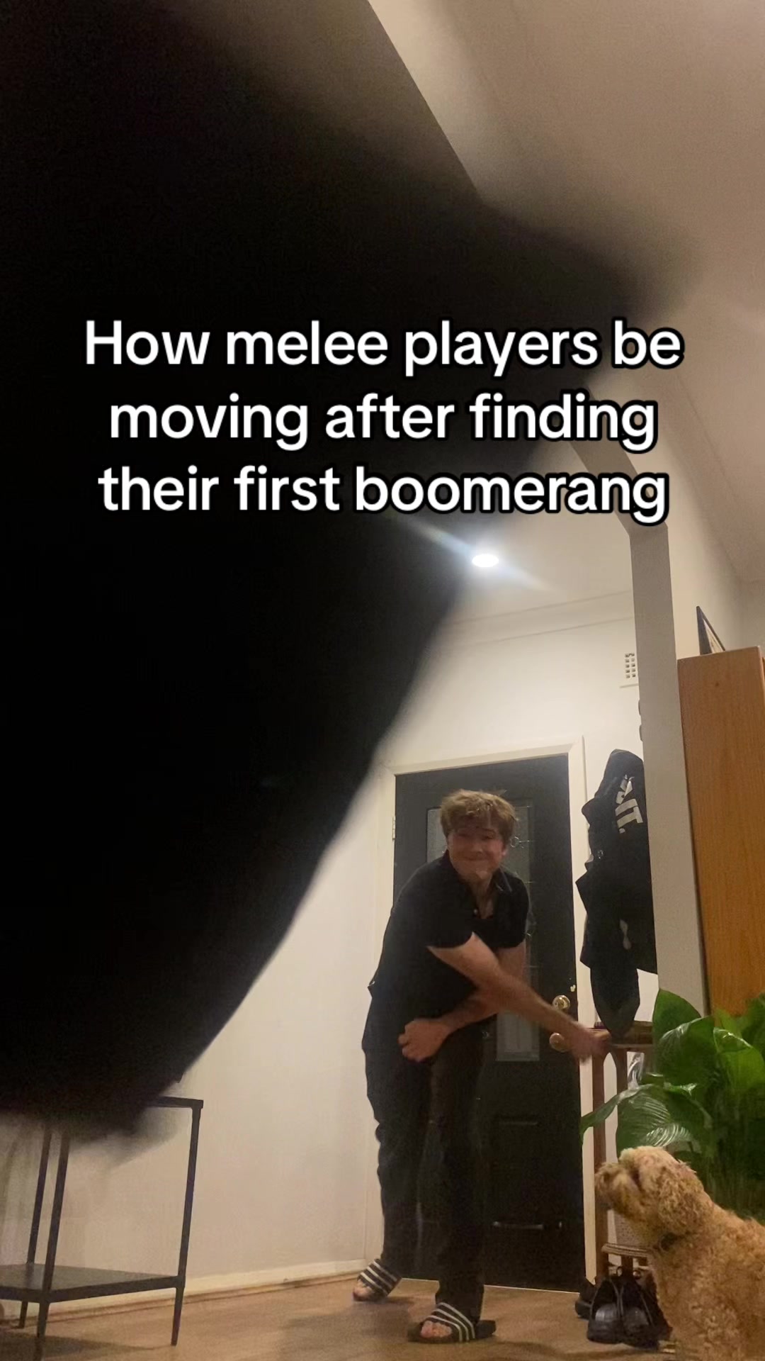 @shellLIVE