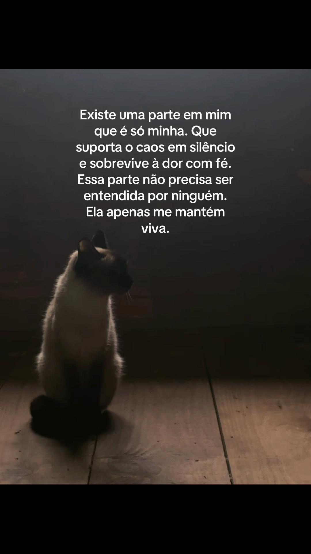 @Sarah Marques ๐ฆ