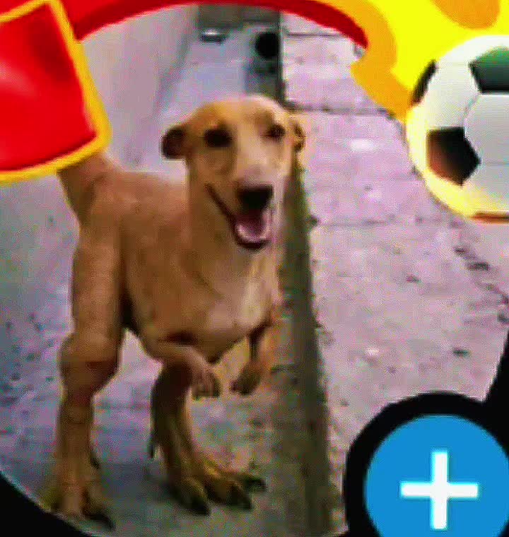 @๐๐ง๐๐ข๐ง๐ข๐ญ๐ฒ
