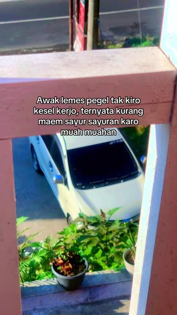 @PengantarBahagiamu Prvt Carter