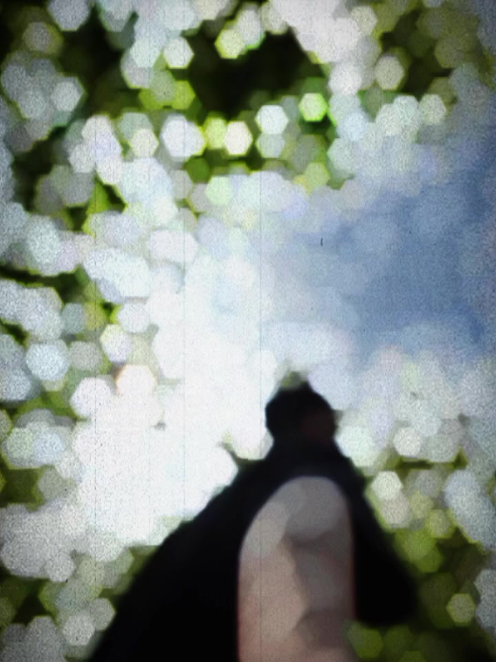 @Tꜱʜᴇʏ_Rɪɴɢ ♛™