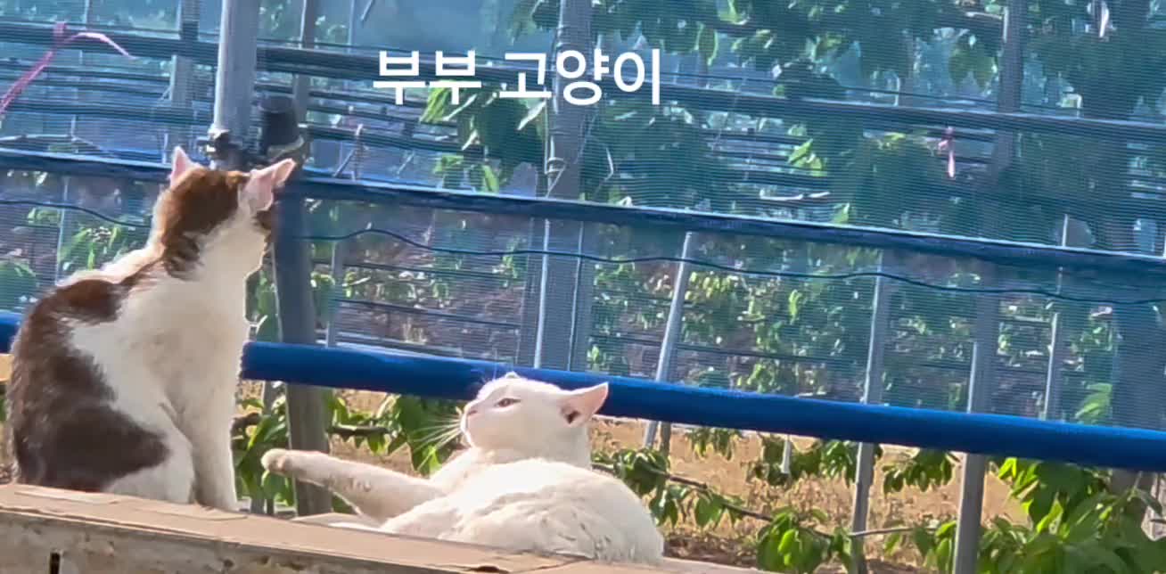 @법무사