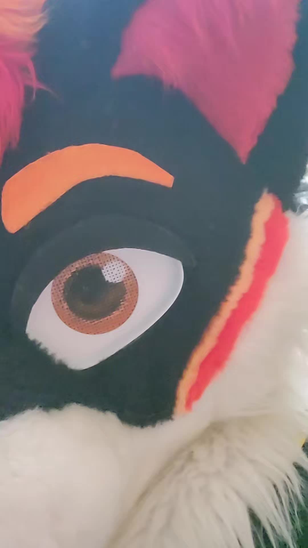 @Luco Foxxo