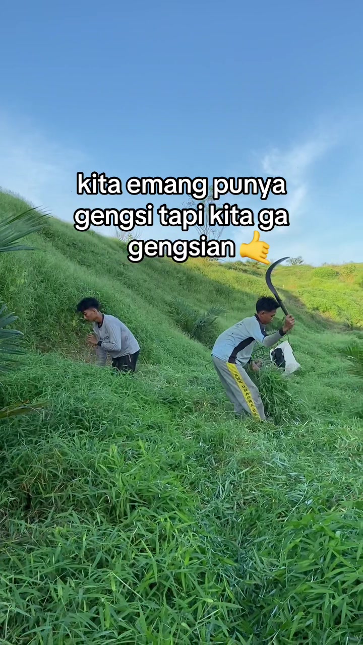 @ngaritboy