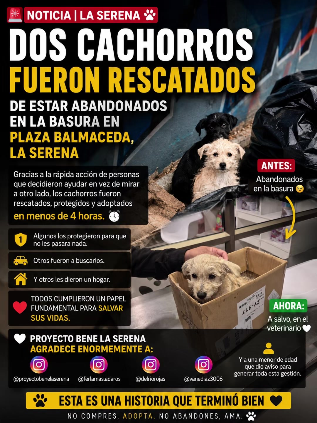 @Proyecto bene la serena