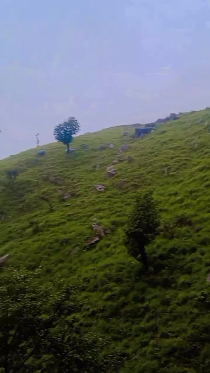 @बन मनैं😜/Wild Wanderer