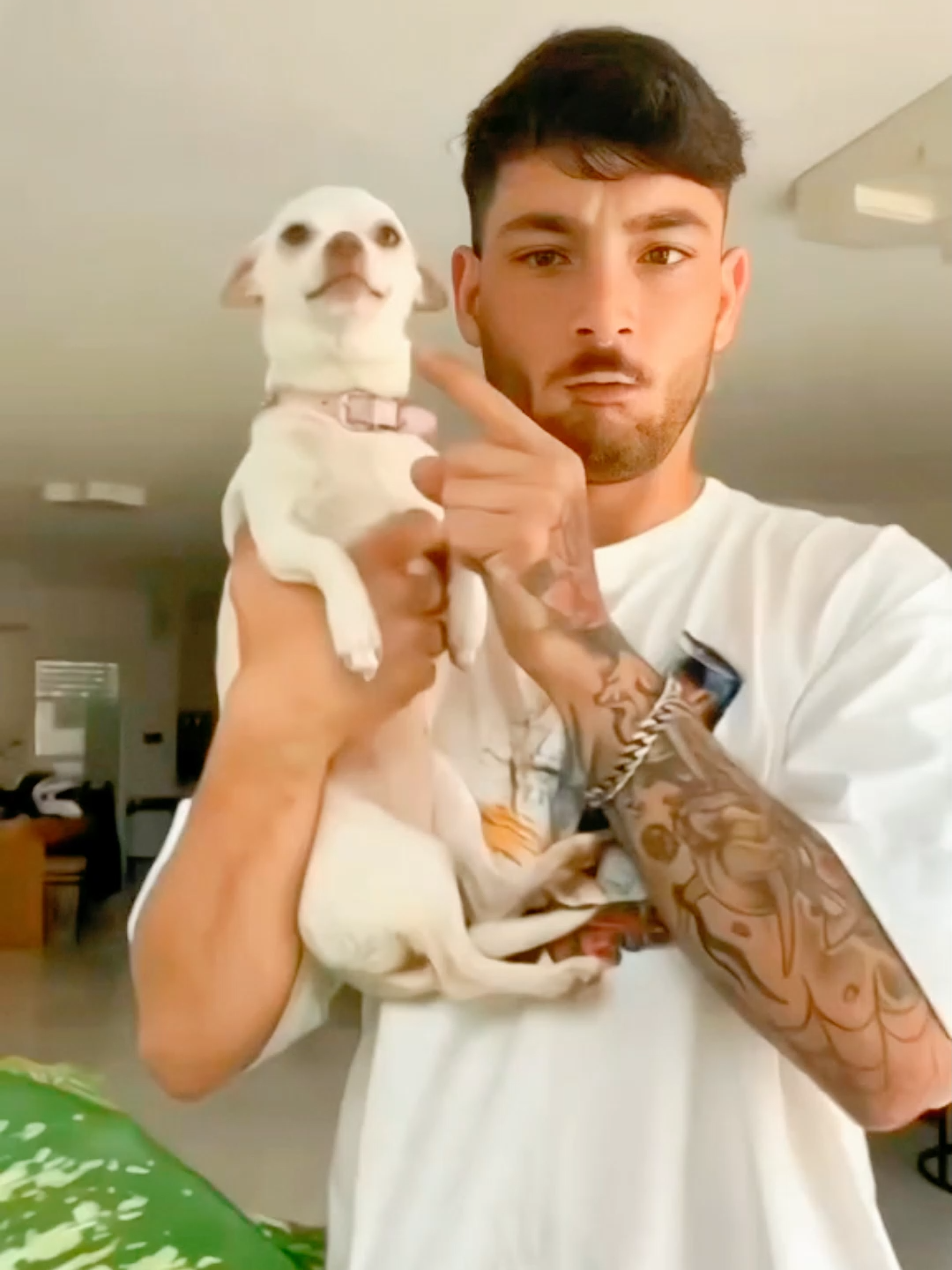 @AnimalAnticsArcade