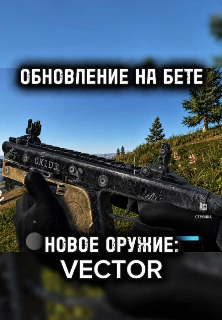 @тгк:sssazanov