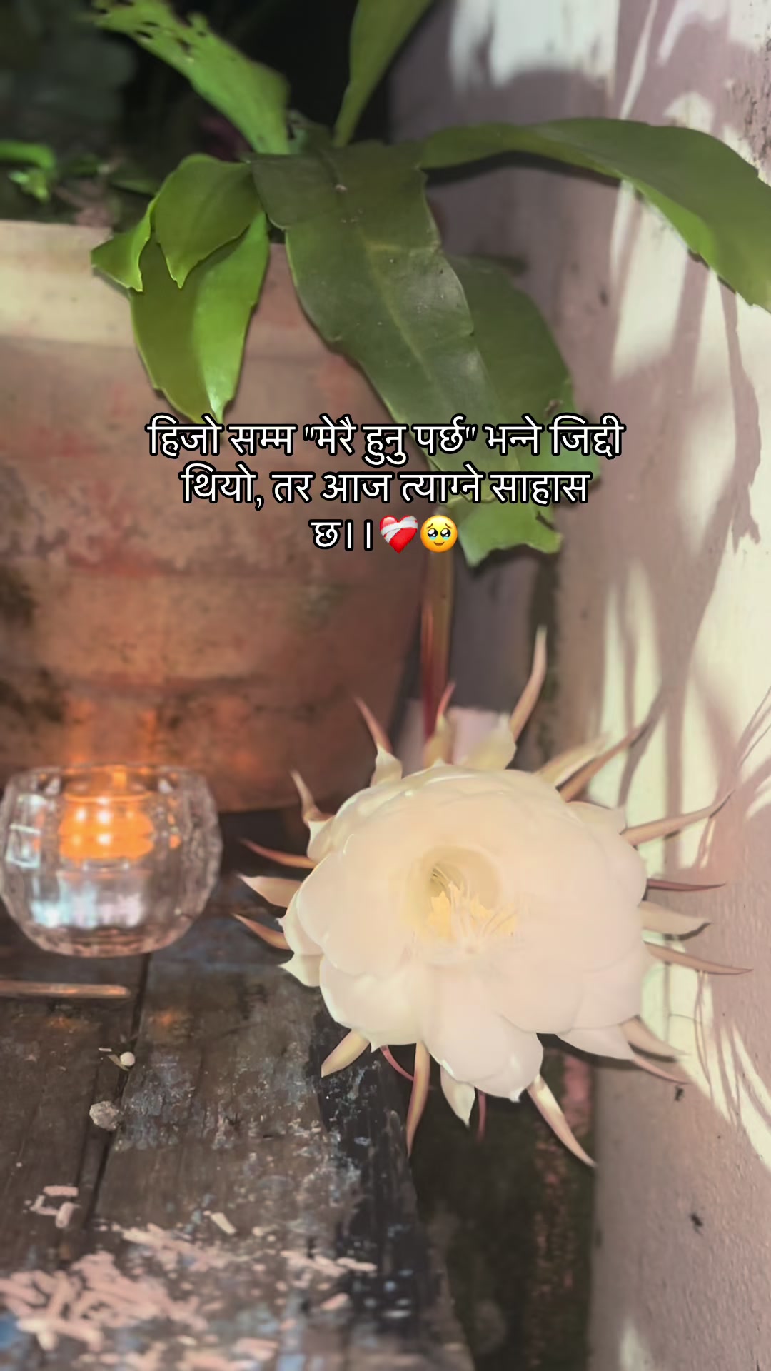 @mandipjungchhetri7