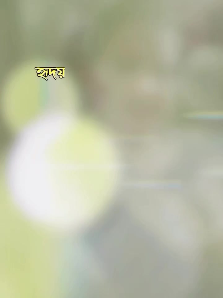 @HAJERA Aktarsimuমায়াবতী🌷🩵