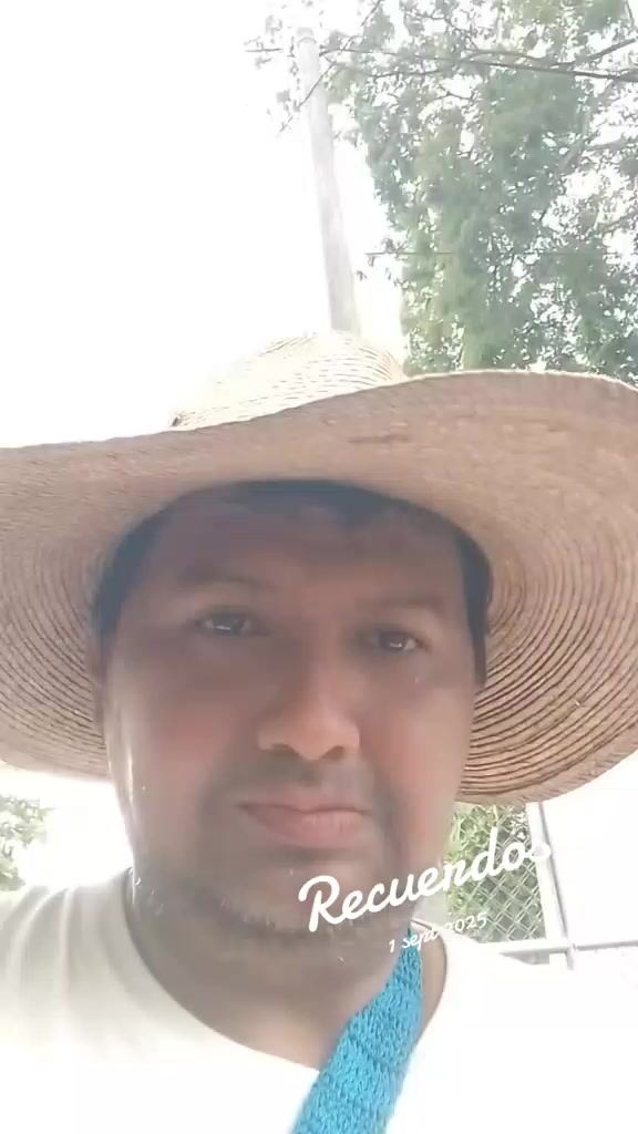 @neriscortez209