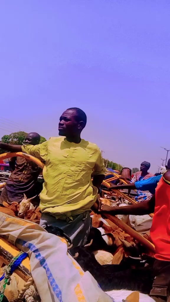 @abdullahi sani
