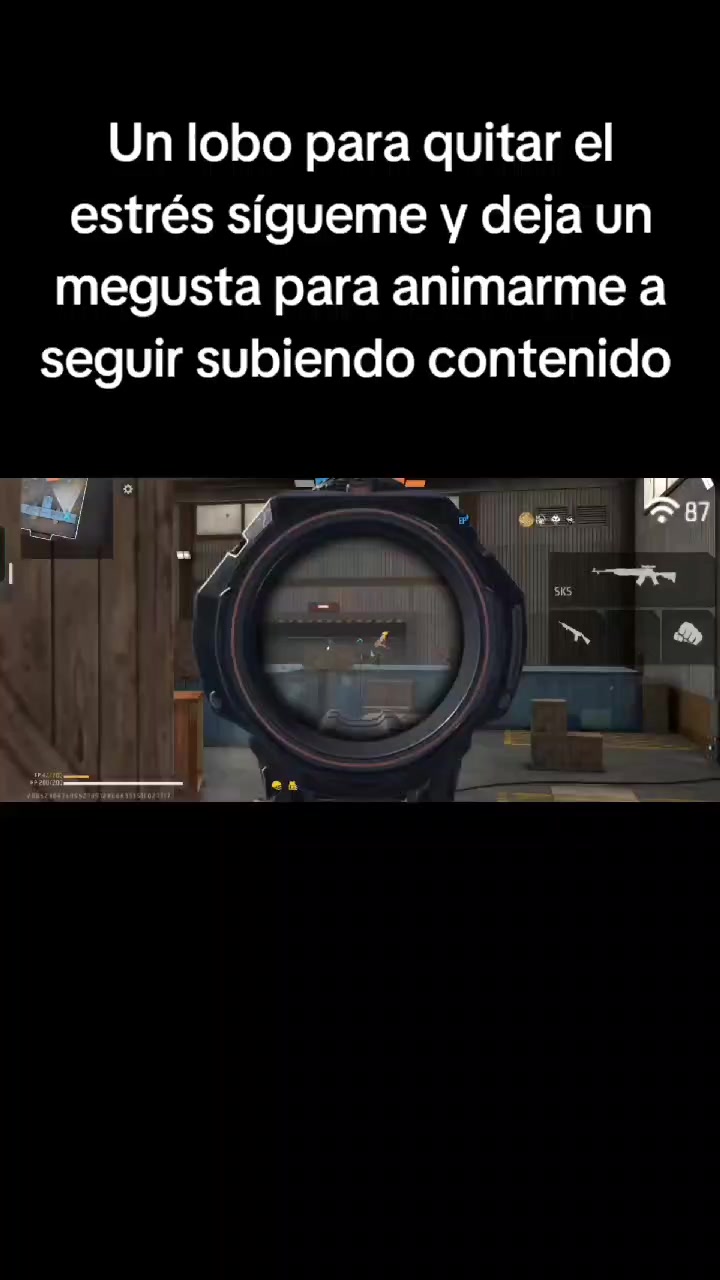 @Lobo<¦>502🇬🇹🇬🇹🇬🇹