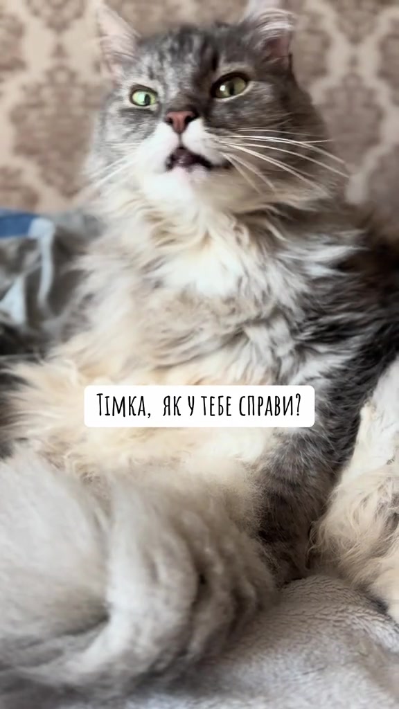@timka.kit