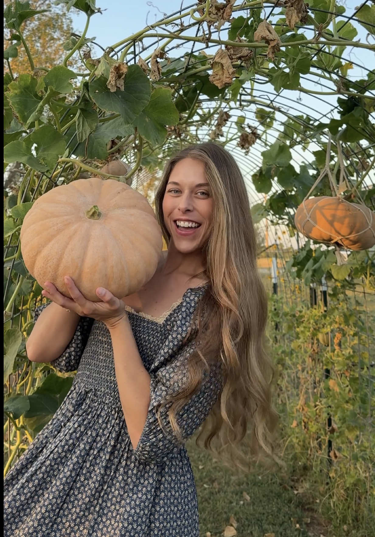 @Itsbreellis