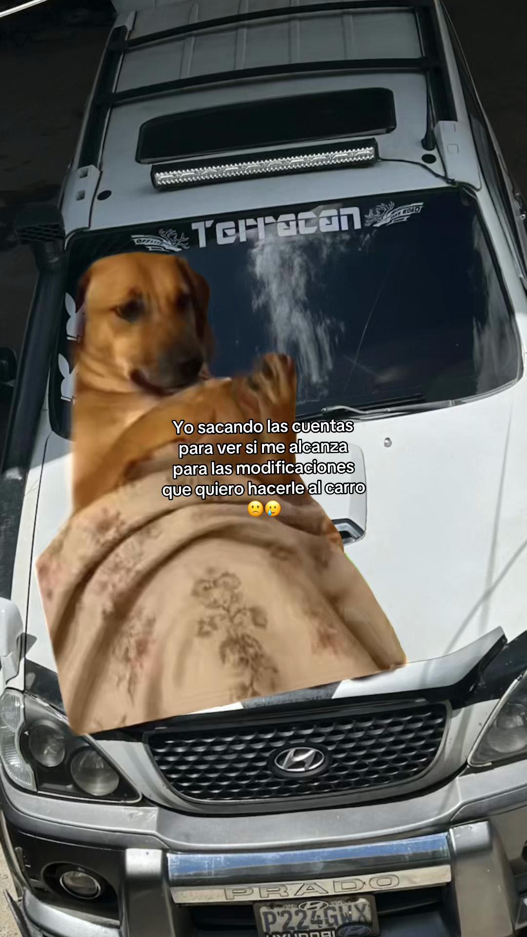 @Rolando_Perez