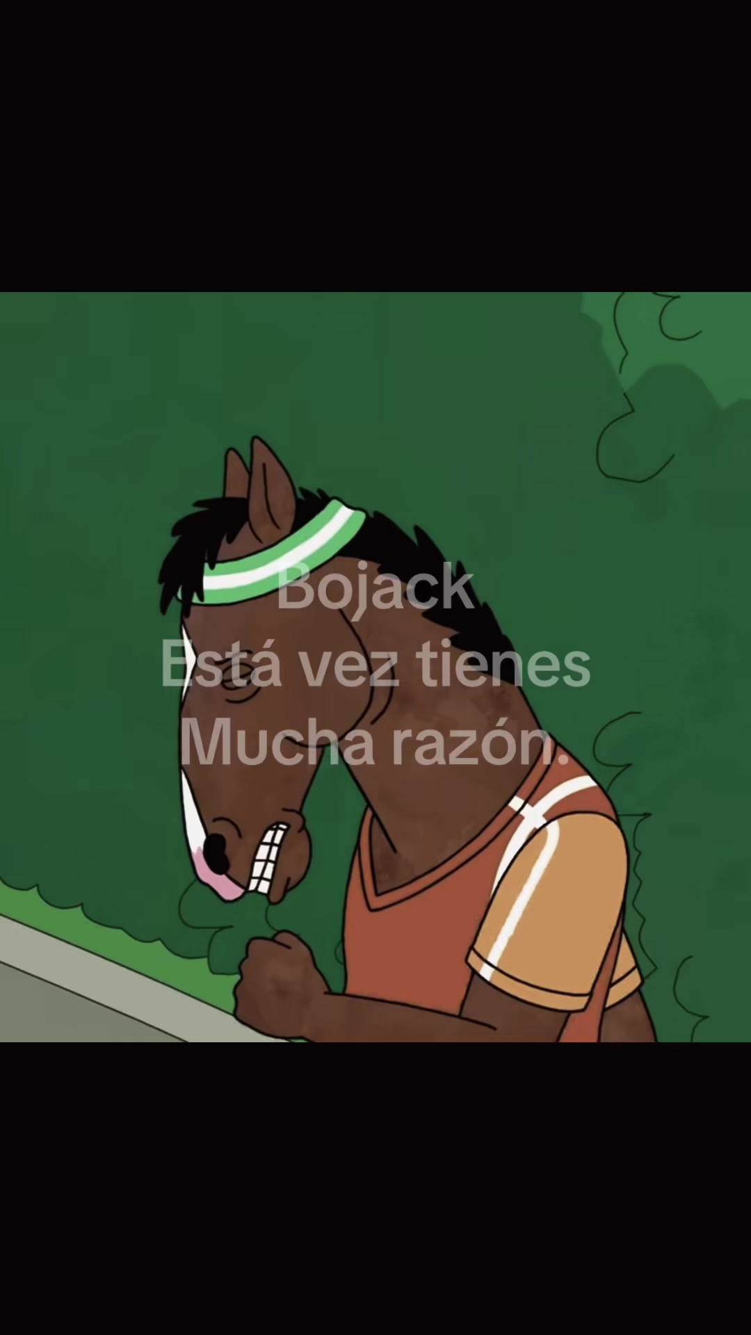 @Bojackism