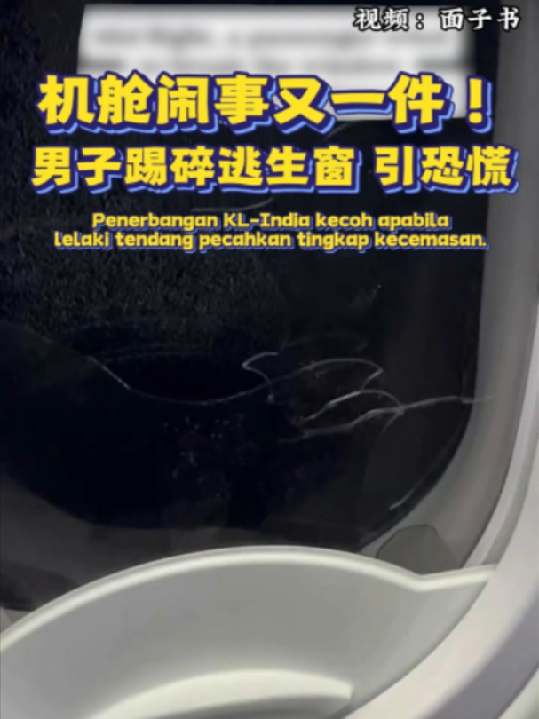 @中国报