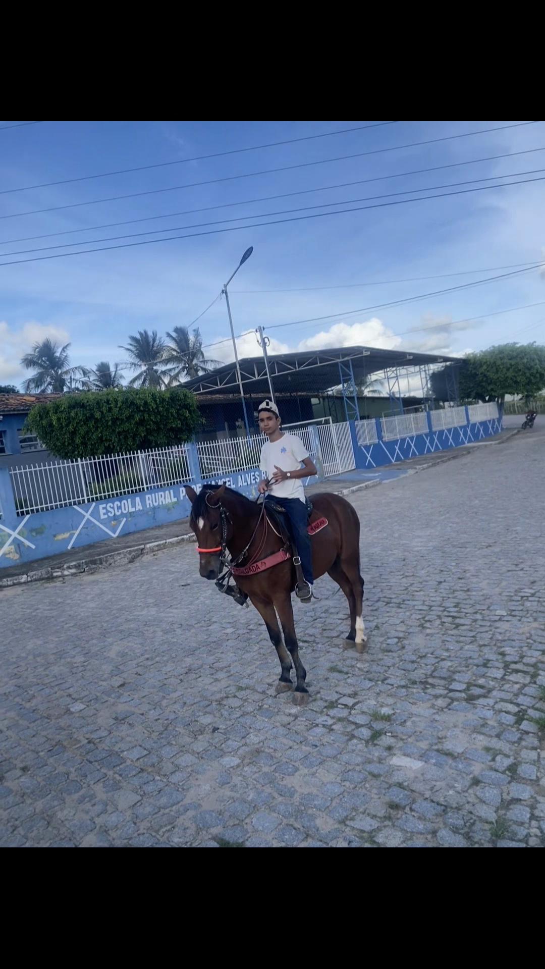 @Ayslan da Ⓜ️🆔ℹ️🅰️🥇