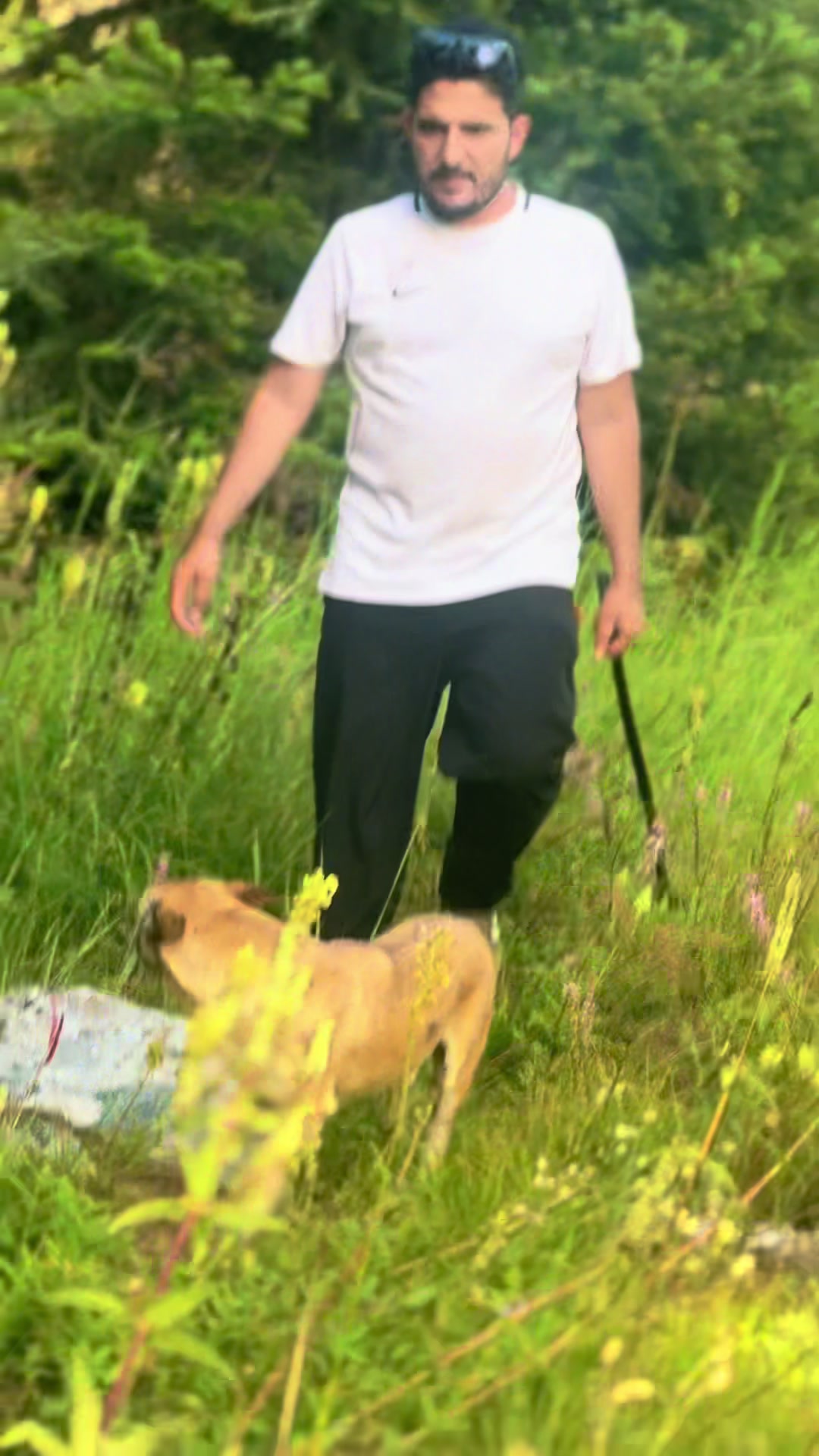 @𝑴𝒐𝒖𝒏𝒕𝒂𝒊𝒏 𝑺𝒐𝒖𝒍⛰️