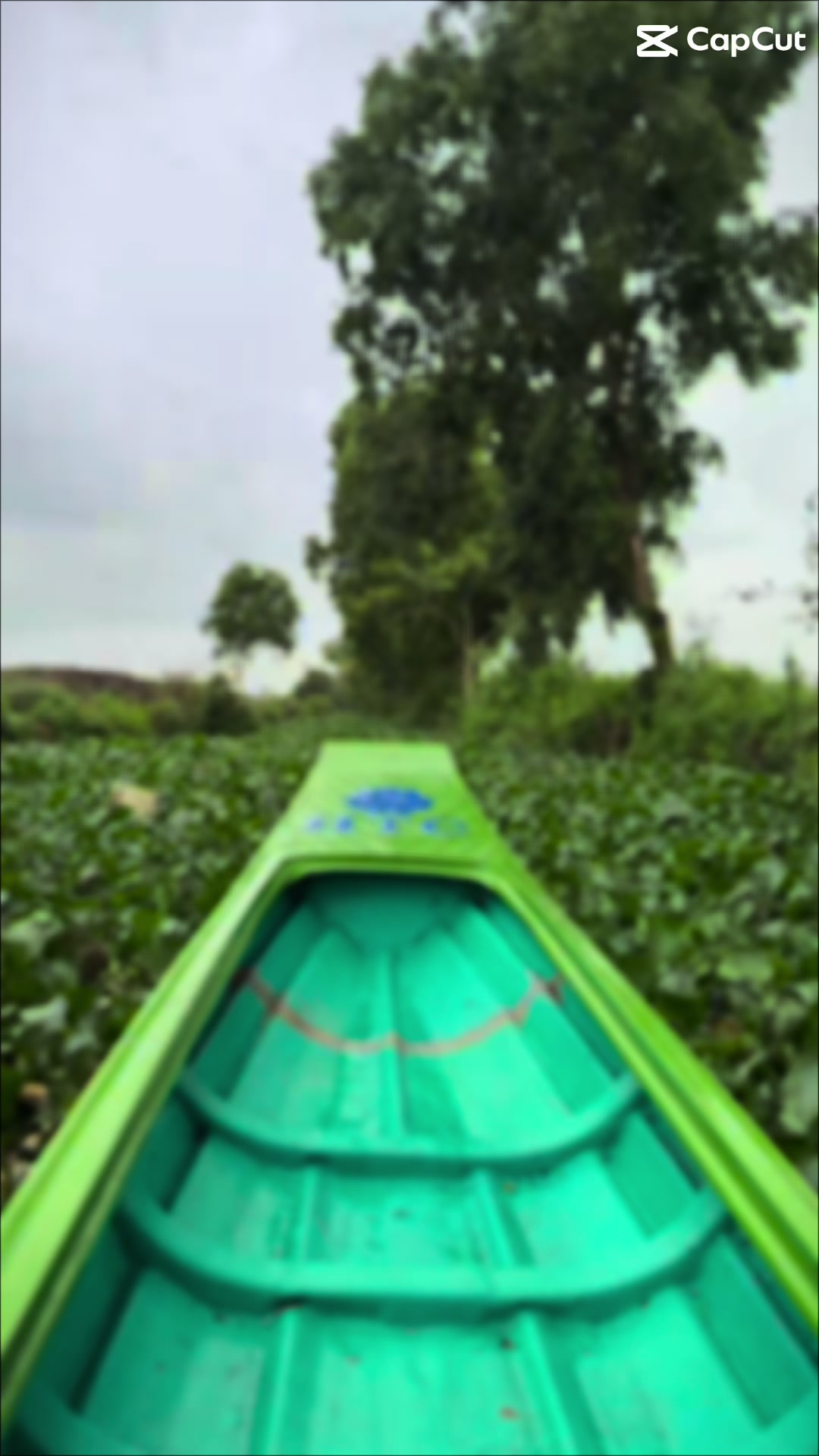@Kỳ