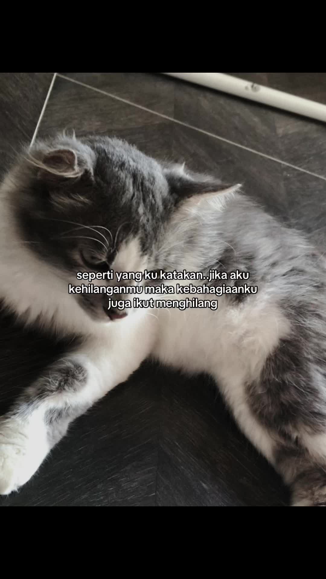 @𝑄
