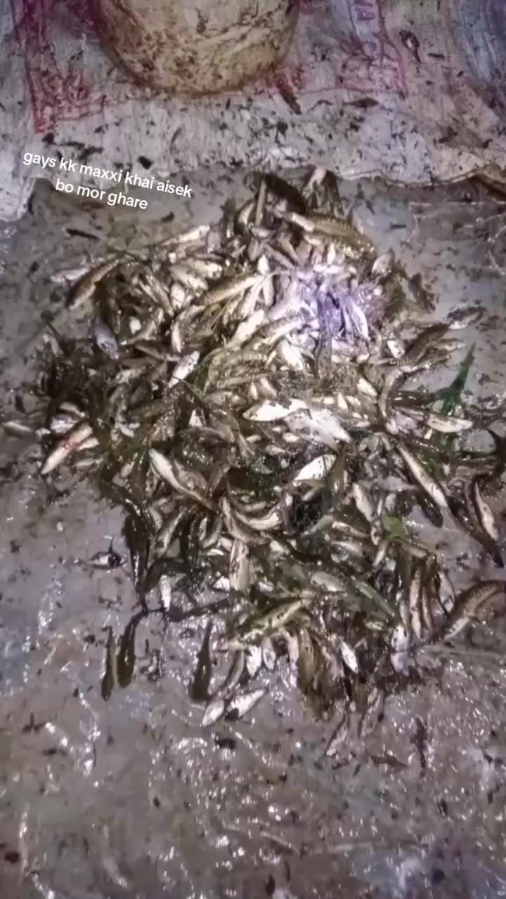 @kîrtí chy 🥰💐