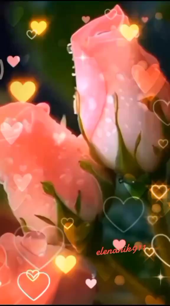 @꧁༺ 𝓔𝓵𝓮𝓷𝓪 ༻꧂