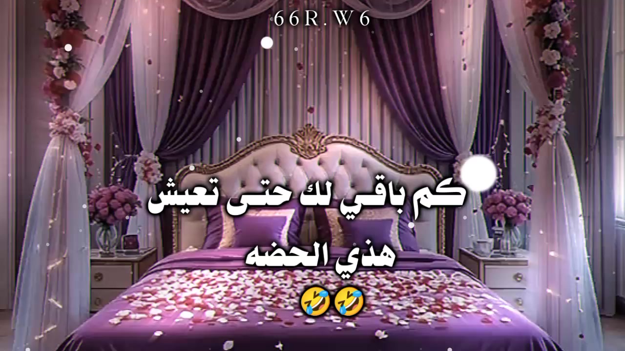 @لَـحًـنِ♪🎻♡゙
