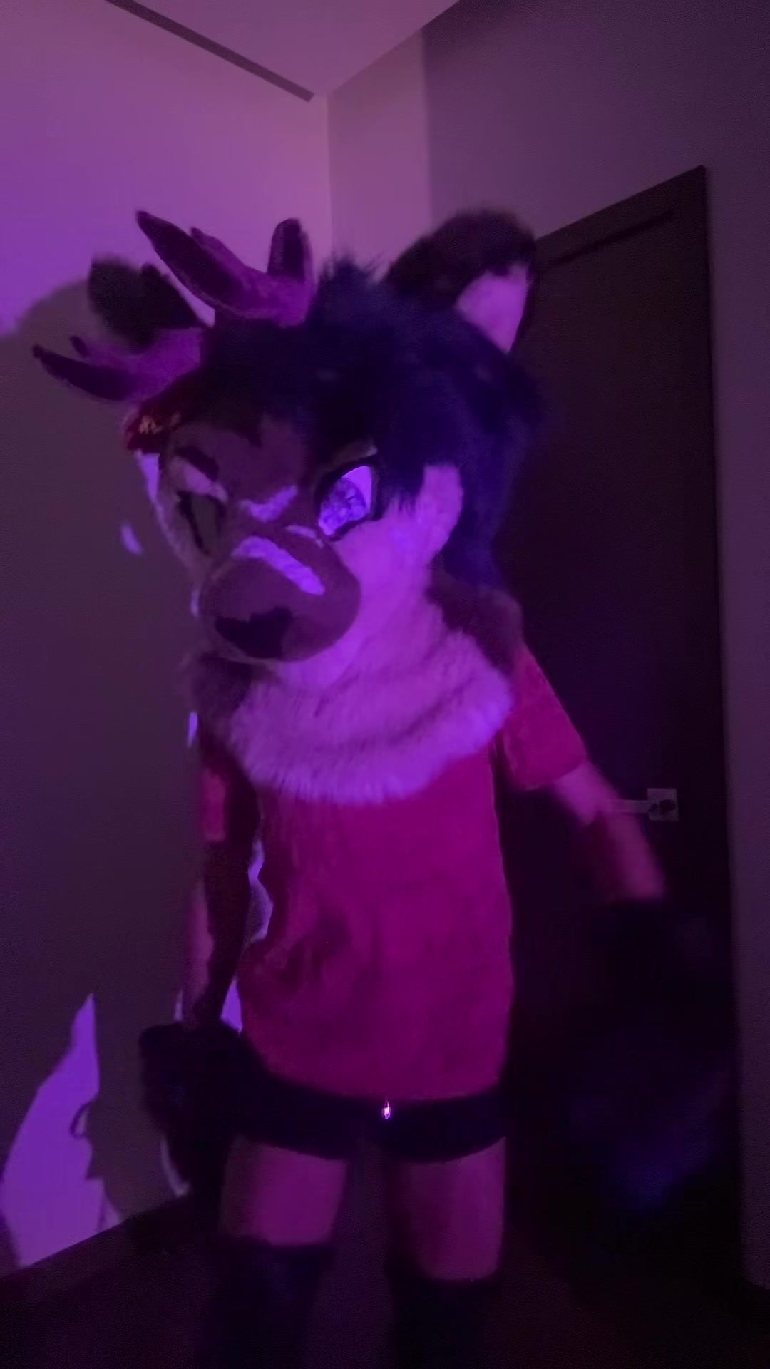 @Riley :3