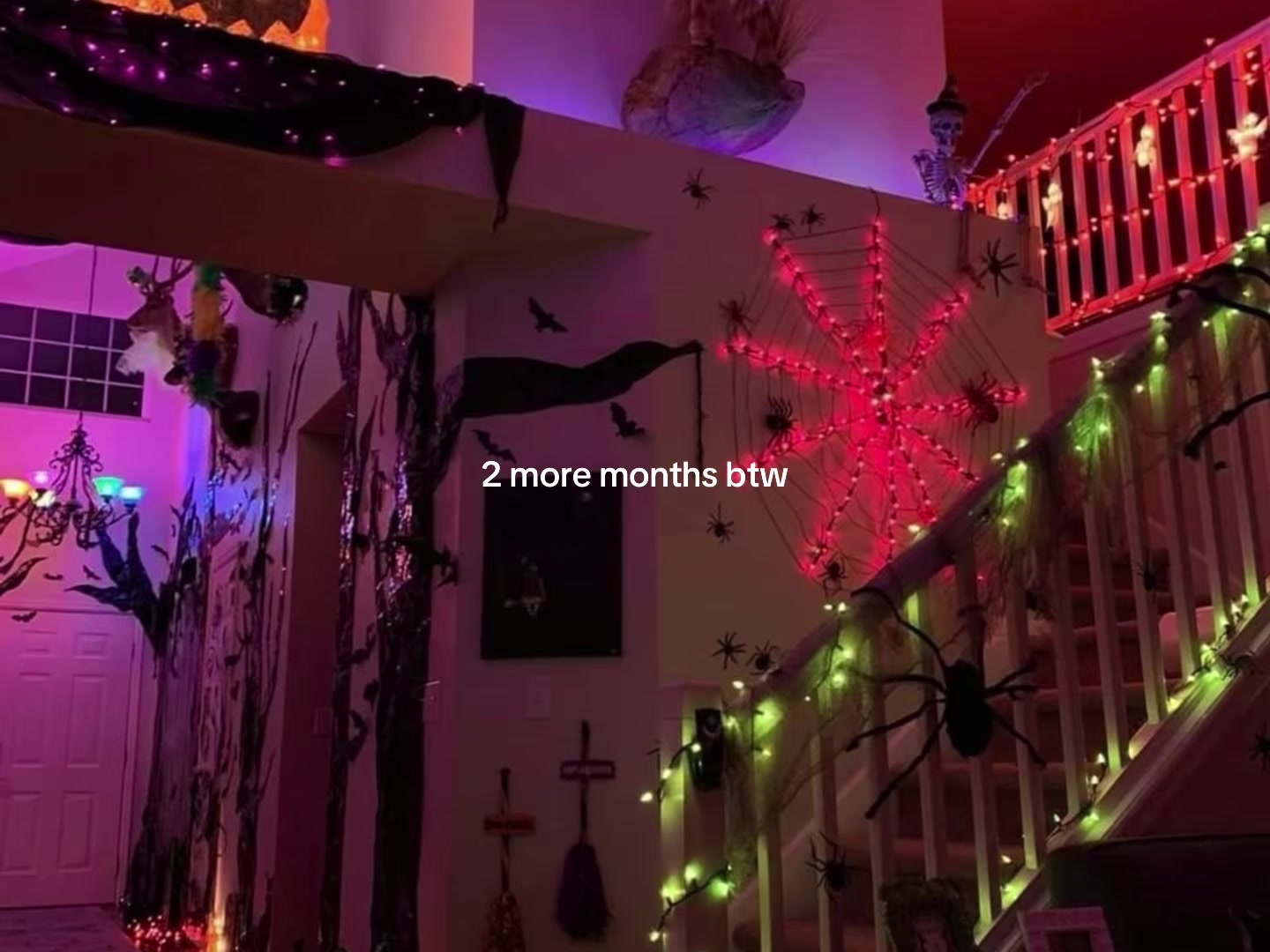 @🪽