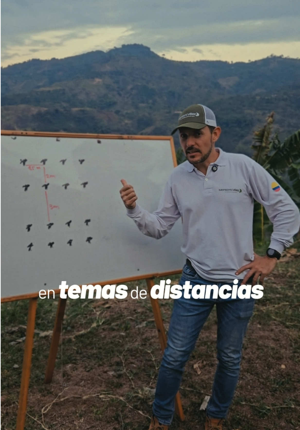 @Montoya Vélez S.A.S