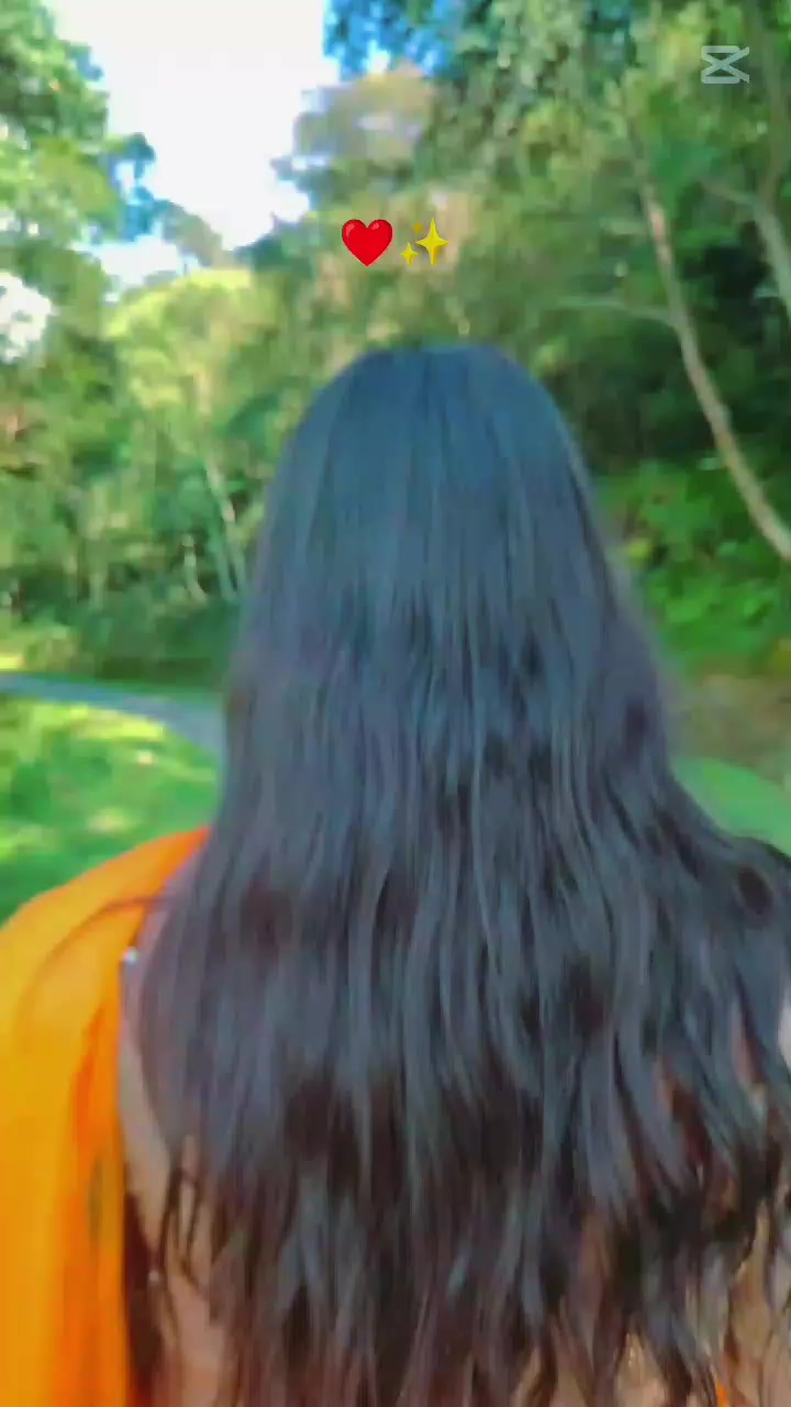 @🍁