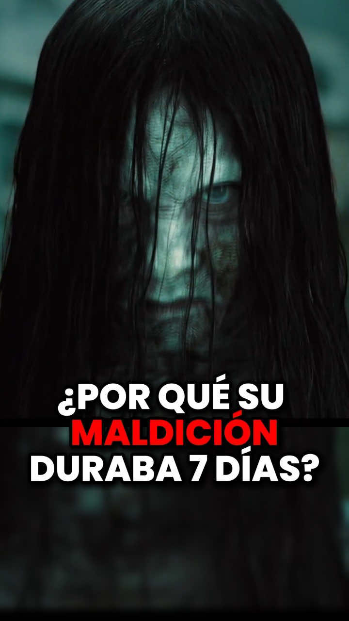 @Mister Panda