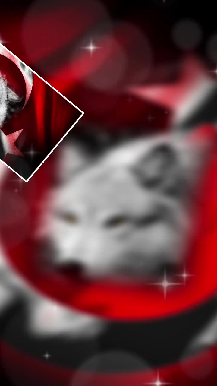 @𓃥⃝🇹🇷𝕄𝔼𝕊𝕌𝕋66𓃥⃝🇹🇷