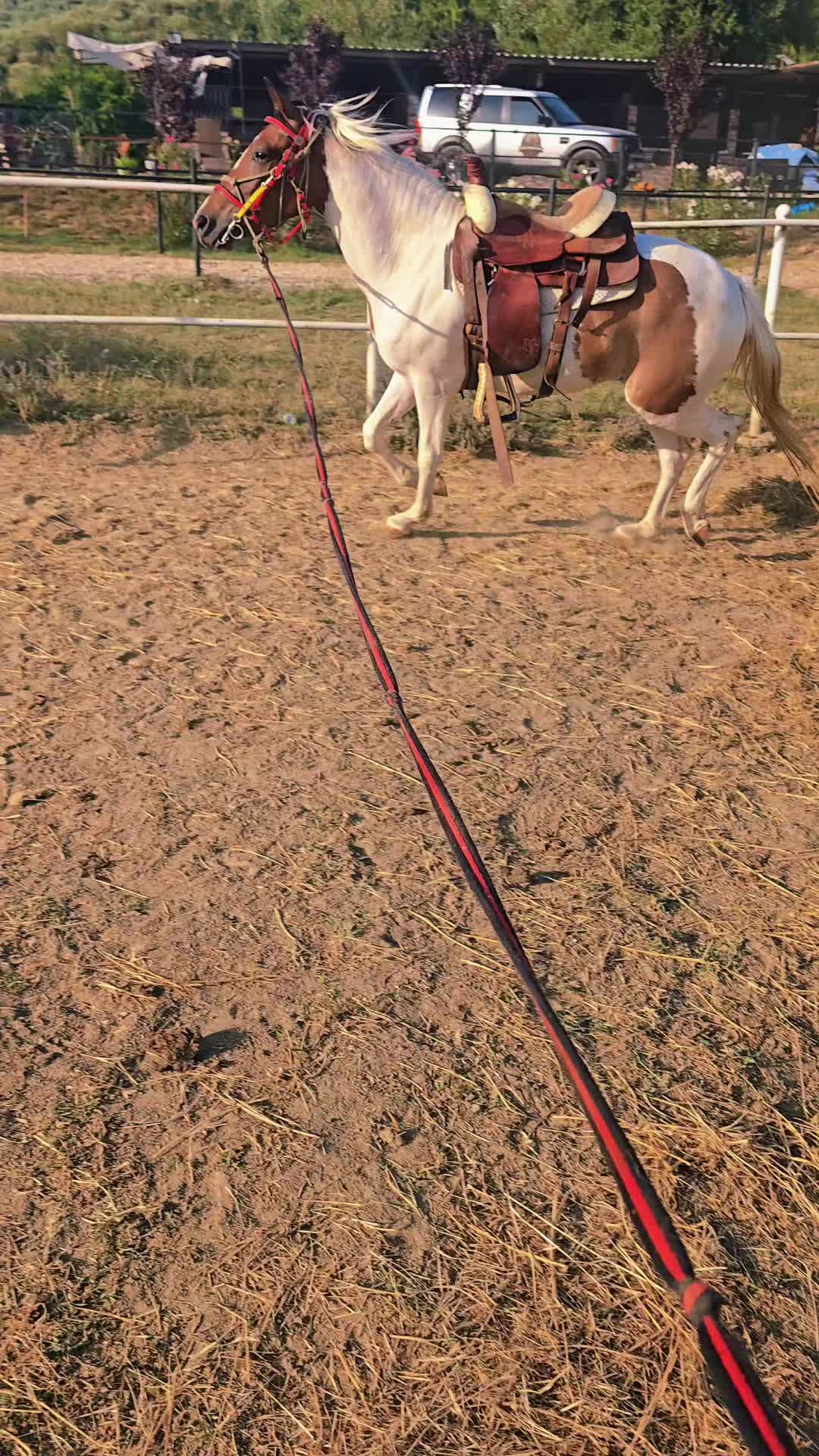 @Horse Training Center Albania