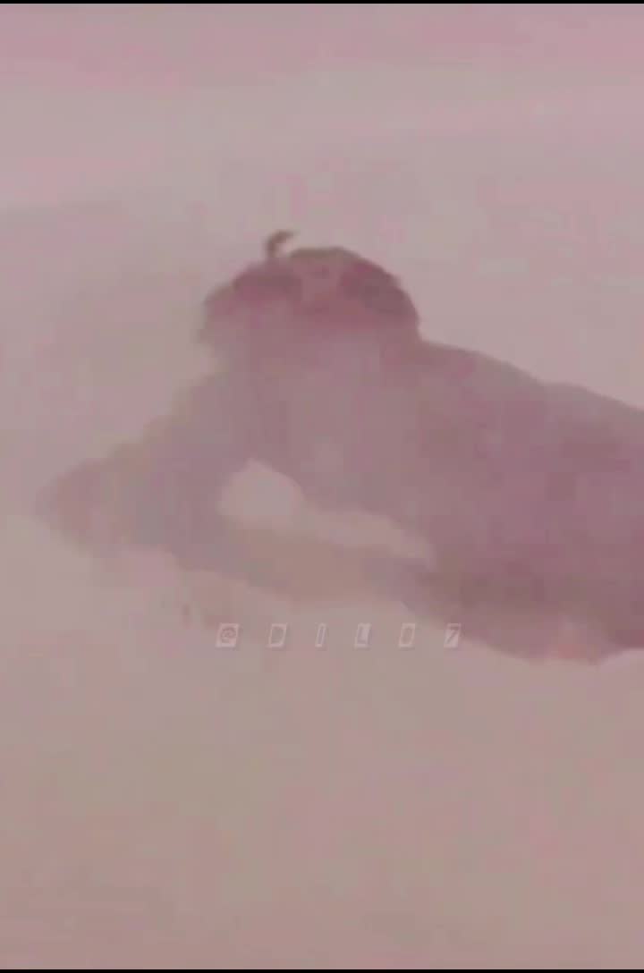 @البــلوشــــــي