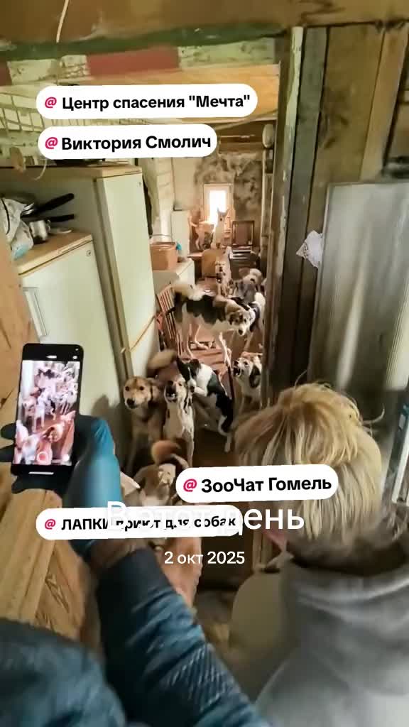 @Слава