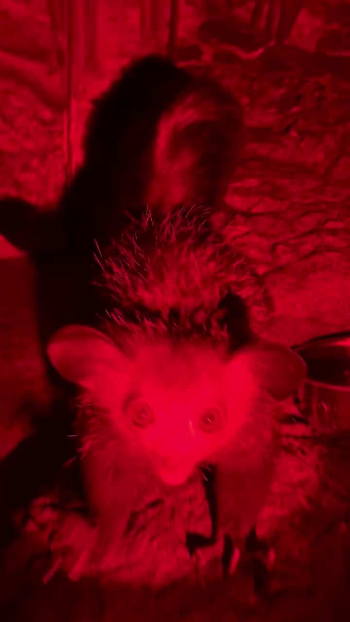 @Cincinnati Zoo