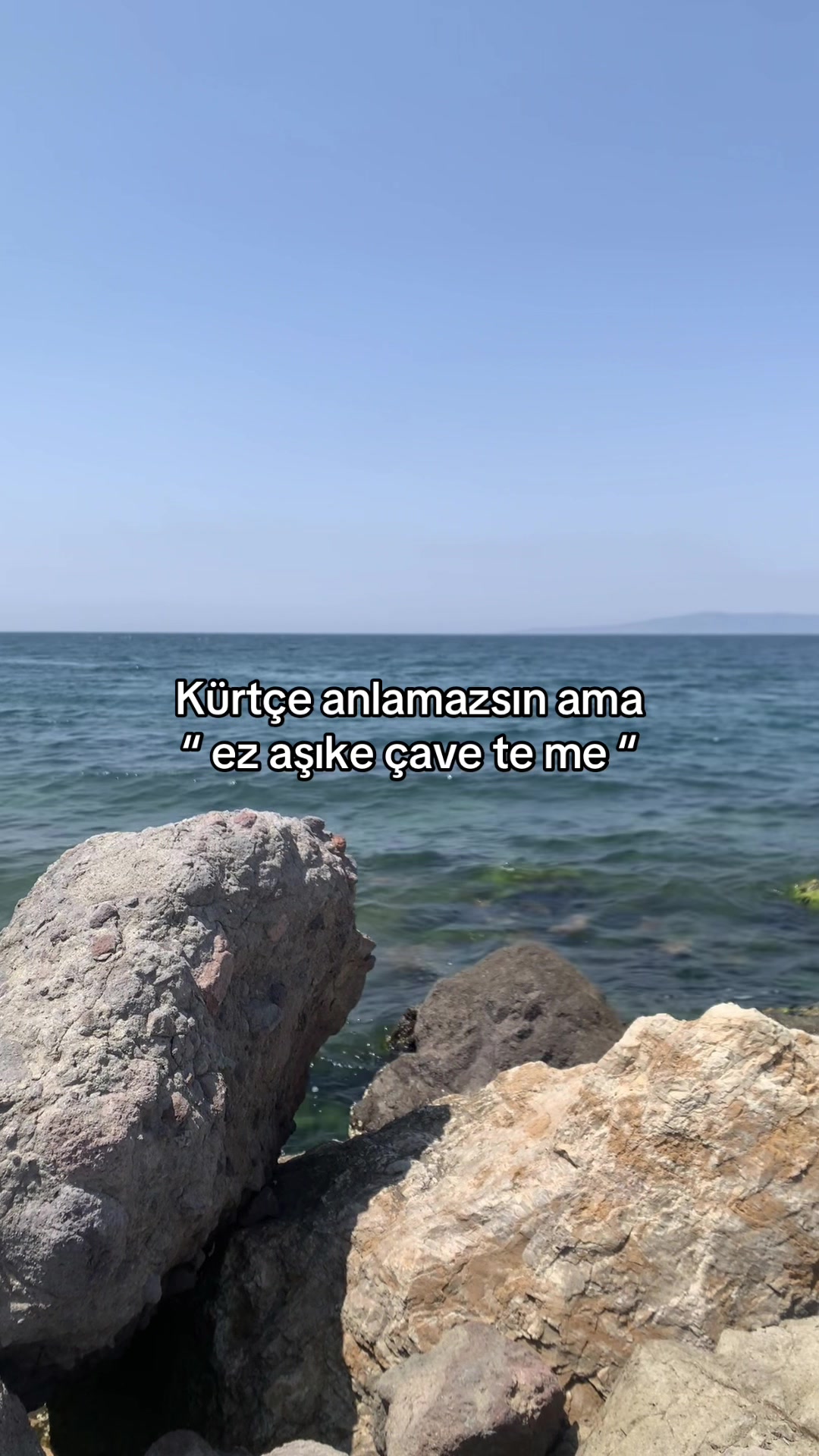@Mesut yıldız