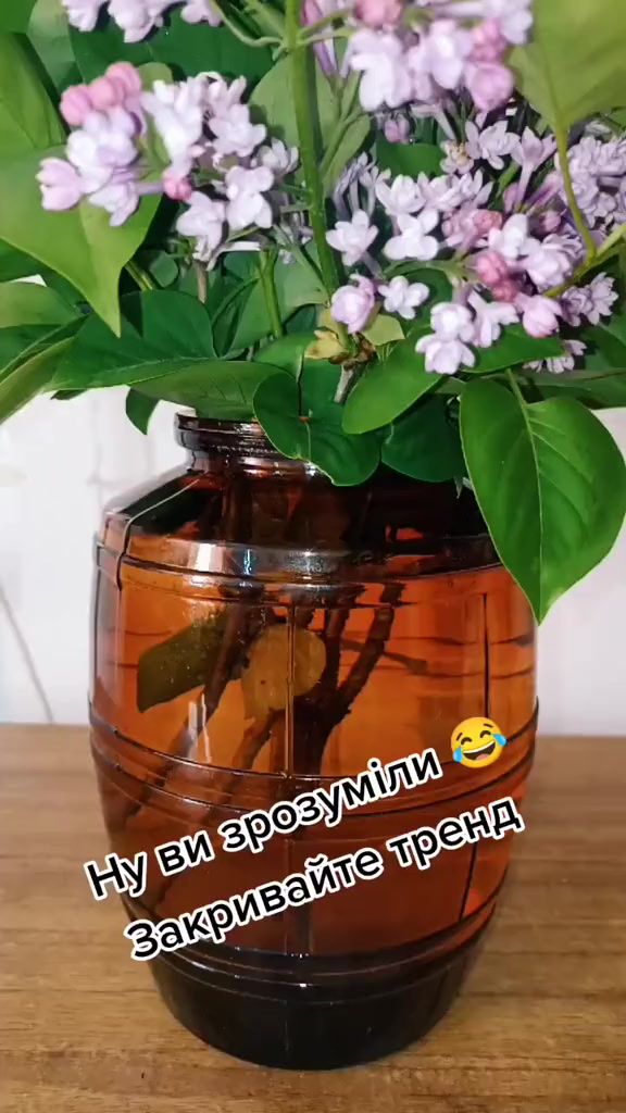 @Elenka😈