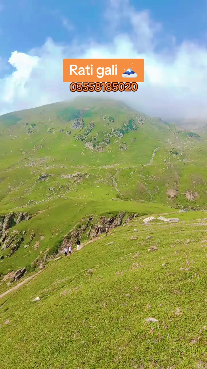 @sajid 786